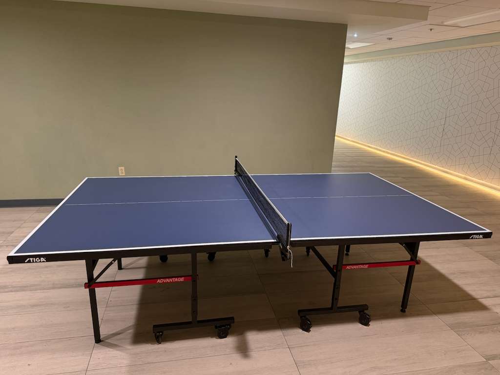 Table tennis court